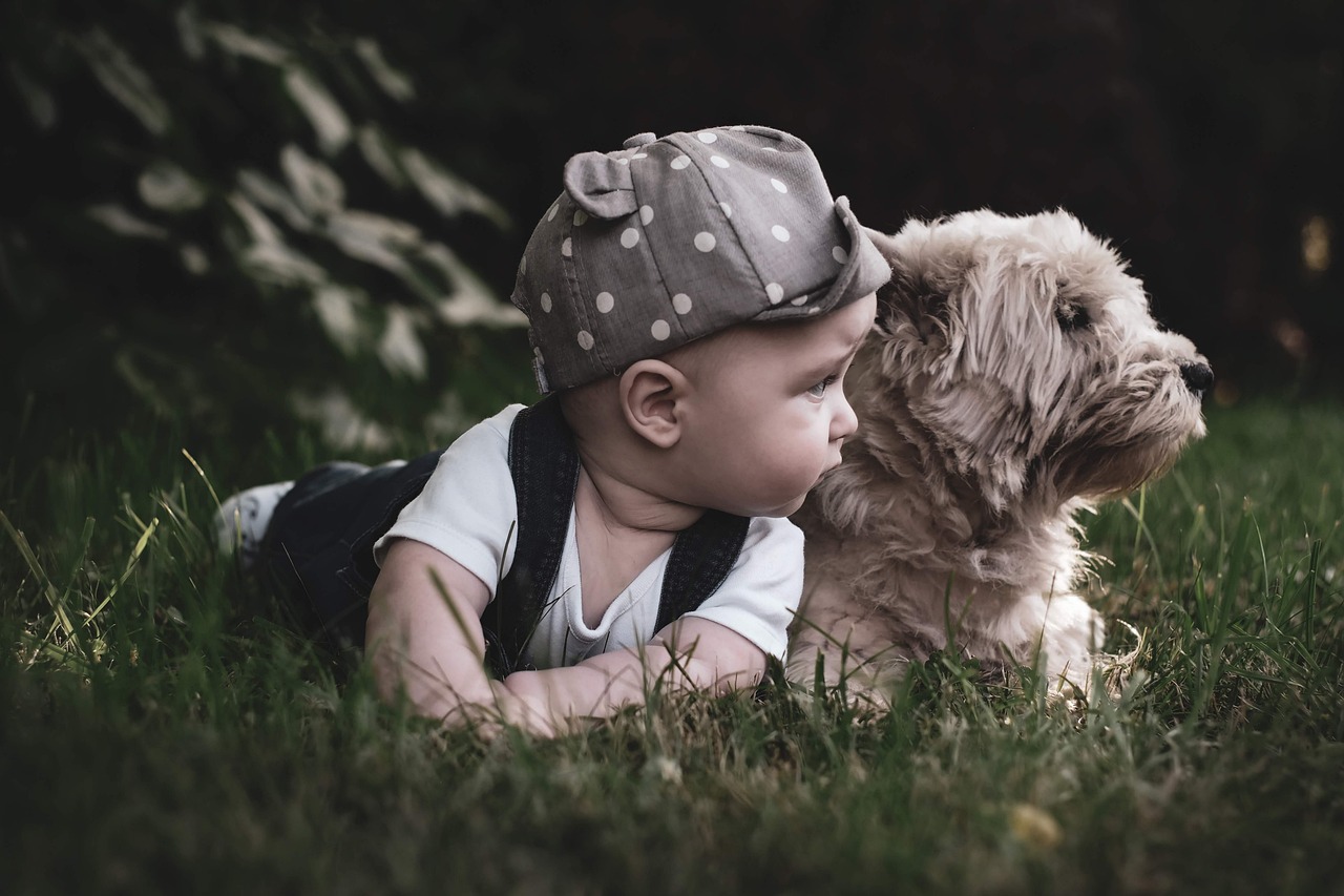 Read more about the article 14 Tips to Prepare Your Dog for Your Baby